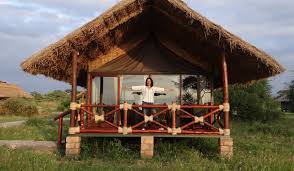 Tarangire Simba Lodge